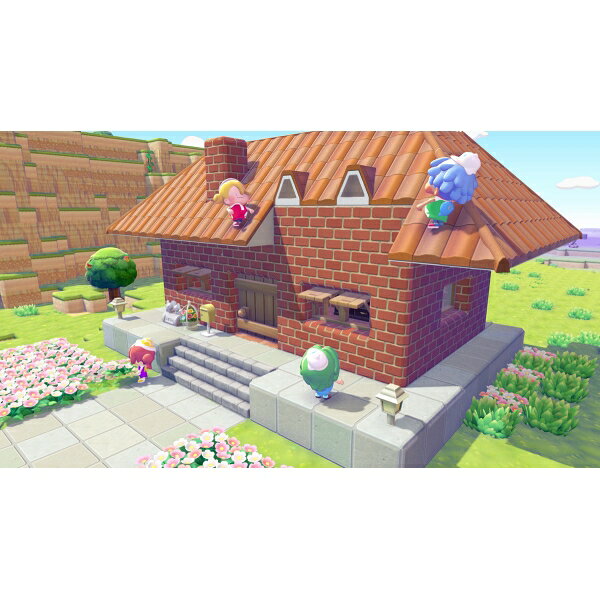 포켓몬 Switch 2 포코 아 포켓몬 POT-P-AAB5A