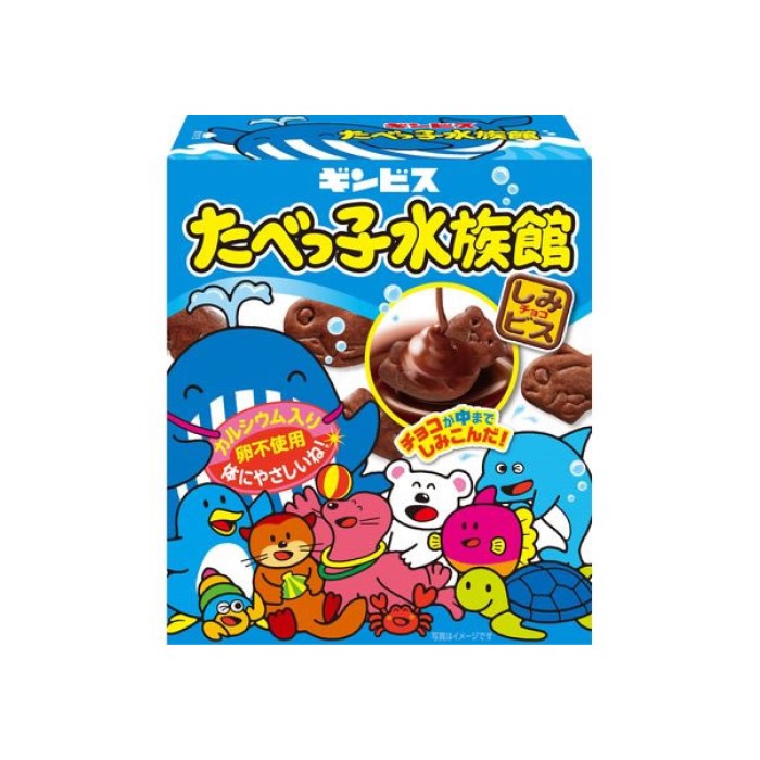 긴비스 타벳코 수족관 초코 비스킷