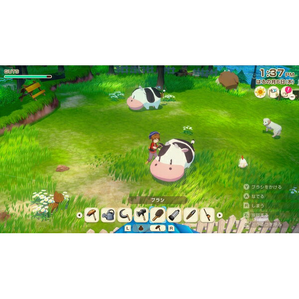 마블러스 Switch2 목장이야기 Let's! 바람의 그랜드 바자 Nintendo Switch 2 Edition