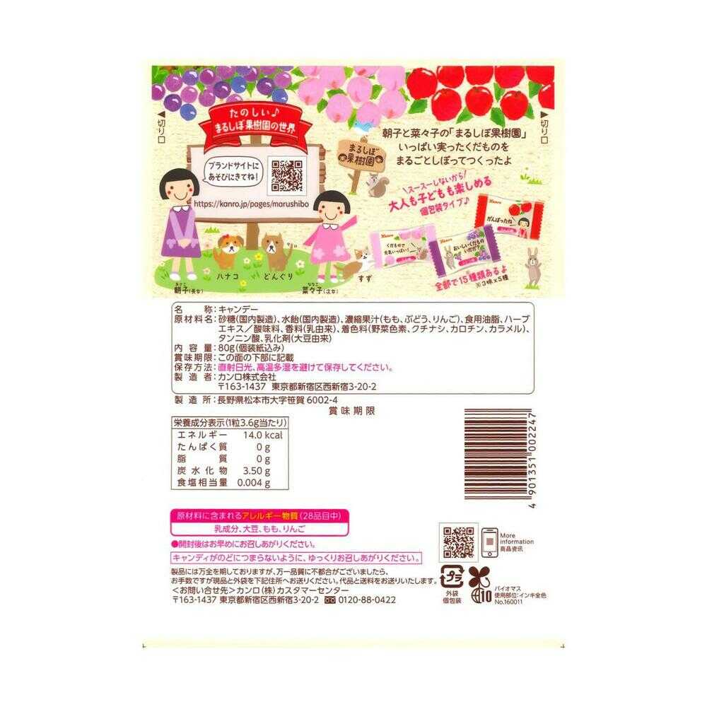 칸로 통째로 짜낸 과일 목캔디 80g × 6개 세트
