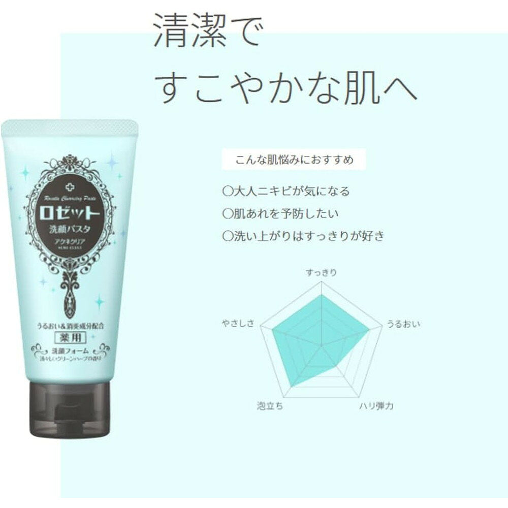 로제트 세안 파스타 아크네 클리어 약용 클렌징폼 120g