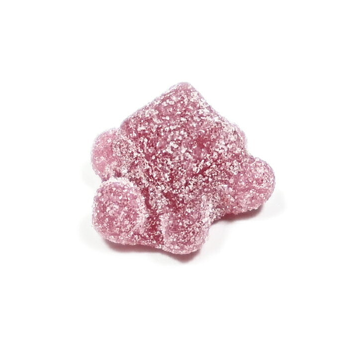 노벨제과 카치카치 치비 카메카메 사워즈 구미 과일 어소트 70g