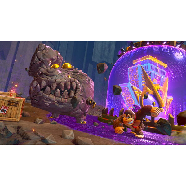 닌텐도 Switch 2 동키콩 바난자 BEE-P-AAACA