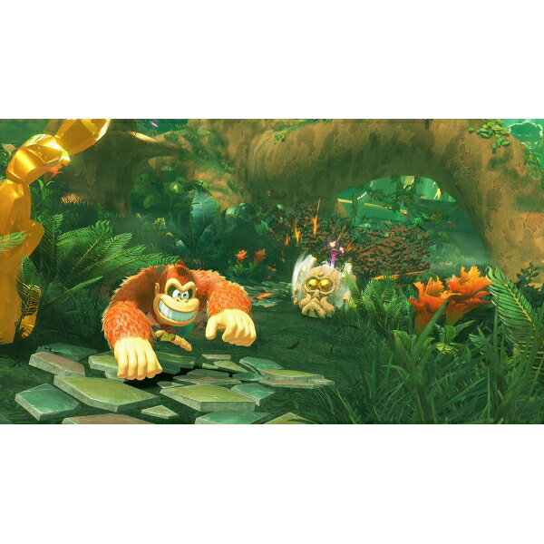 닌텐도 Switch 2 동키콩 바난자 BEE-P-AAACA