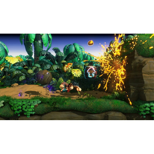 닌텐도 Switch 2 동키콩 바난자 BEE-P-AAACA