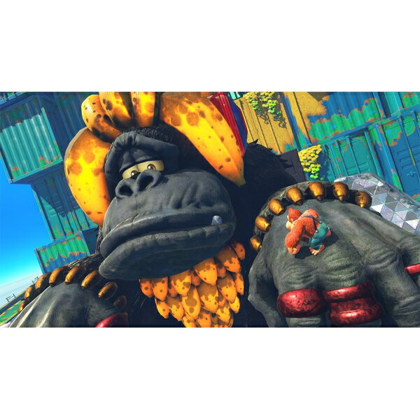 닌텐도 Switch 2 동키콩 바난자 BEE-P-AAACA