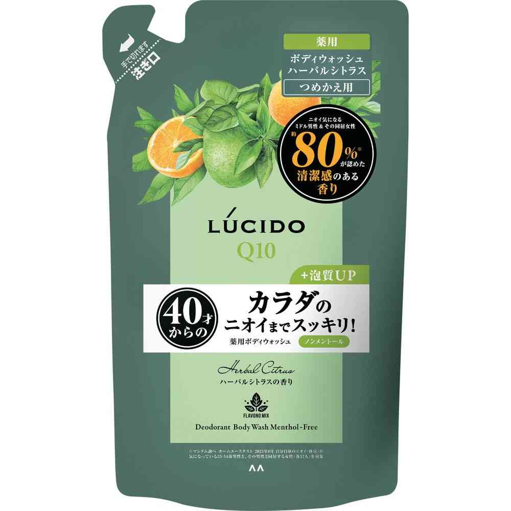 루시도 약용 데오드란트 바디워시 허벌 시트러스향 무멘톨 리필 380ml