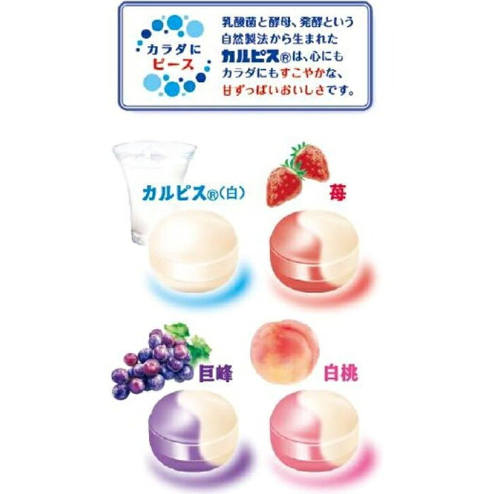 칼피스 아소트 캔디 105 g 아사히 그룹 식품