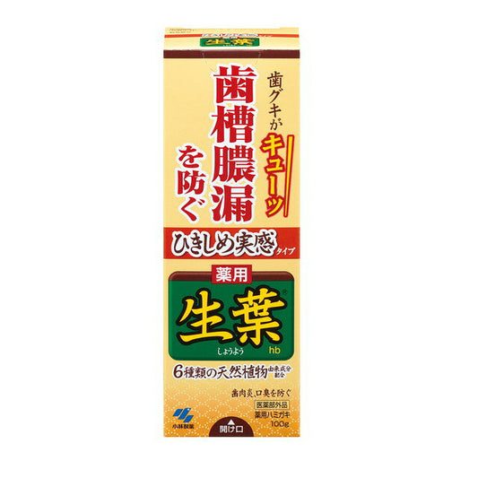 고바야시 제약 ひきしめ 실감 약용 생잎 100 g