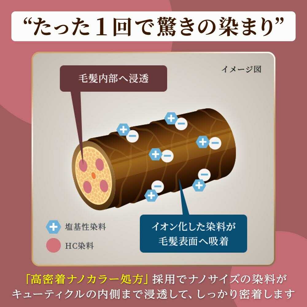 시에로 컬러 트리트먼트 전체 염색용 애쉬 블랙 230g