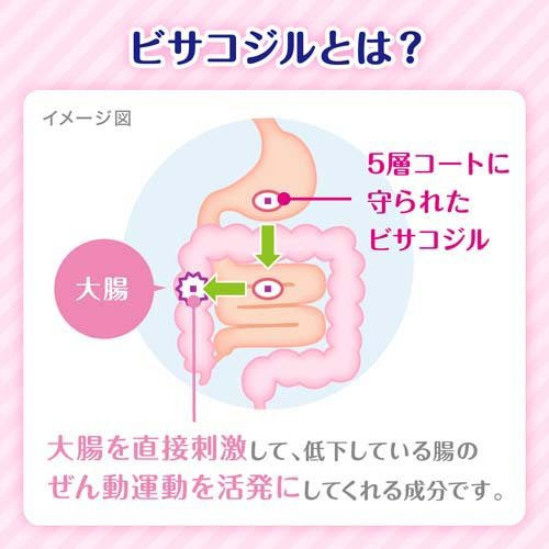 코락 비사코딜 변비약 350정