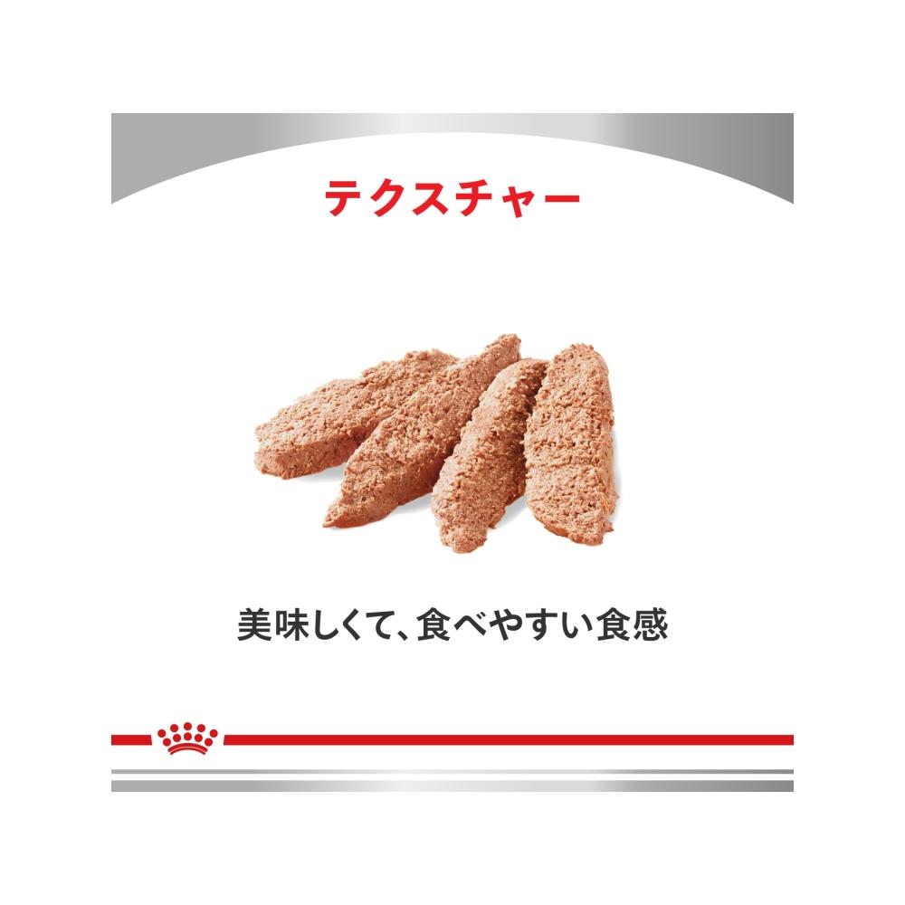 강아지용 소화기 서포트(저지방) 200g × 12캔
