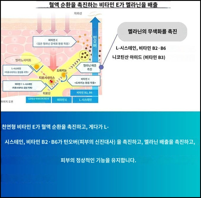 트란시노 화이트C 프리미엄 270정(45일분)