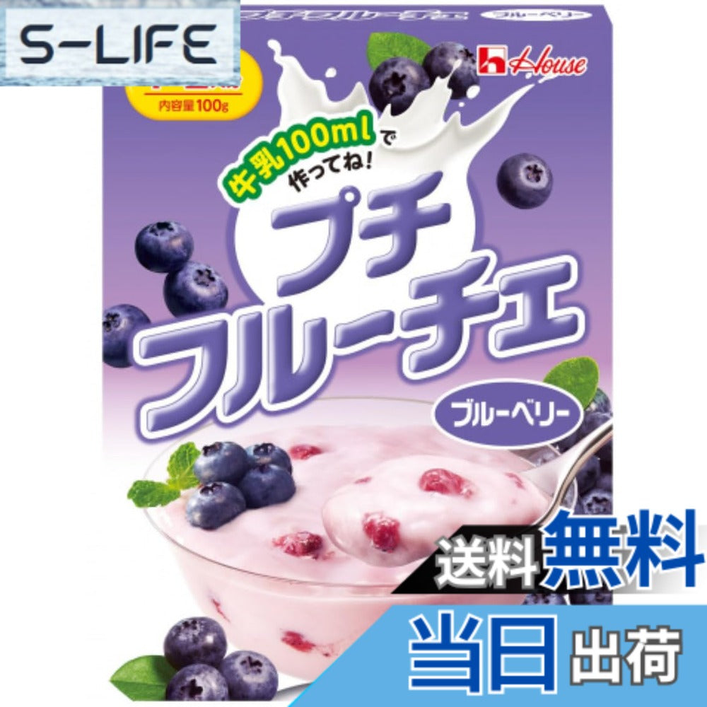 하우스 후루체 블루베리 200g